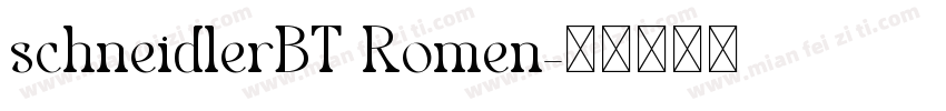 schneidlerBT Romen字体转换